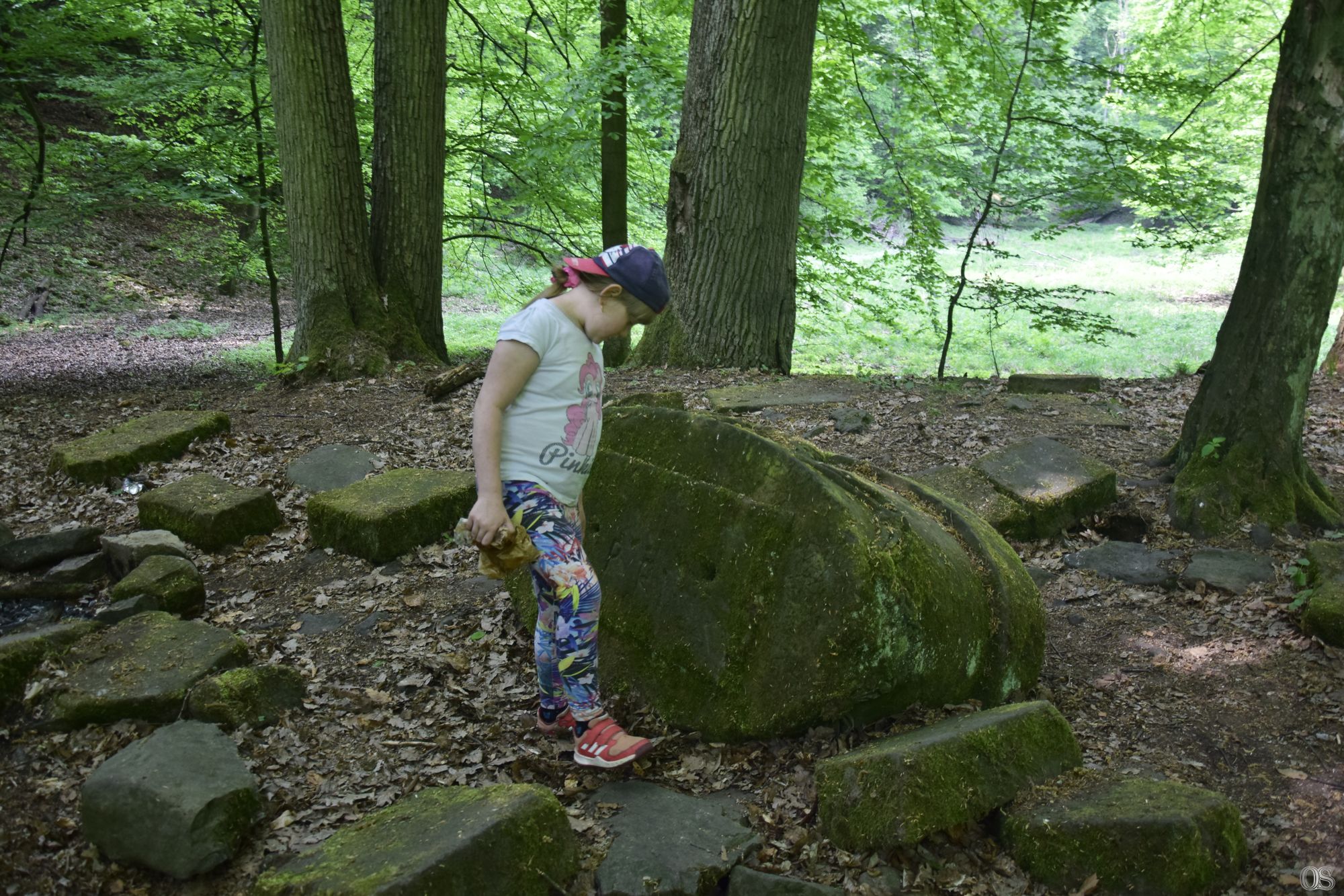 Sciezka Hochbergow 40.jpg
